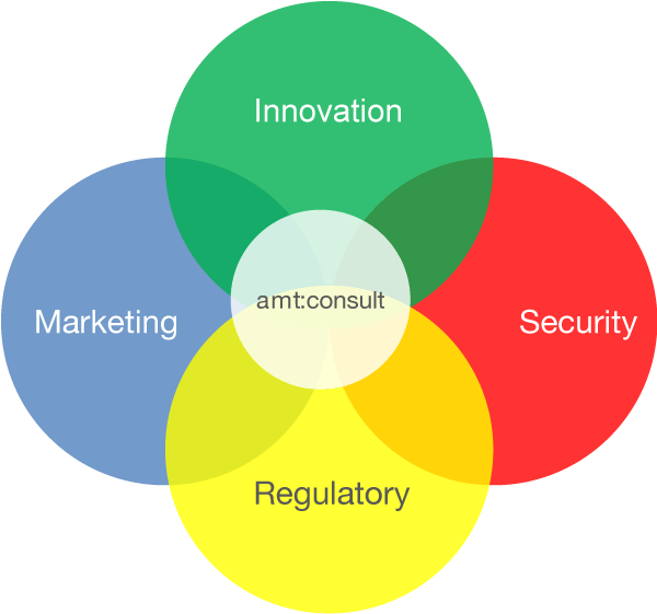 amt portfolio: Cyber-Security, Marketing, Innovation and Regulatory Affairs